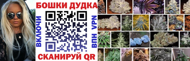 Бошки Шишки план  kraken зеркало  Брюховецкая  купить  цена 